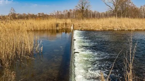 Przedwiośnie przy rzece Białoławka, marzec 2021