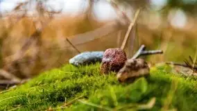 Kwietniowy deszczowy zachód słońca nad jeziorem Kruklin - zdjęcie 14