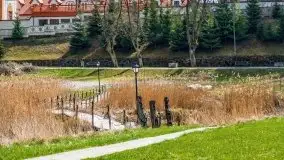 Kwietniowy i wiosenny Ryn 2021 - zdjęcie 46