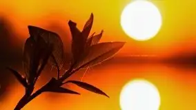 Wiosenny wschód słońca nad jeziorem Stręgiel - zdjęcie 21