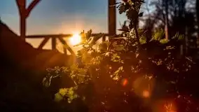 Kwietniowy zachód słońca w Mrągowie - zdjęcie 22