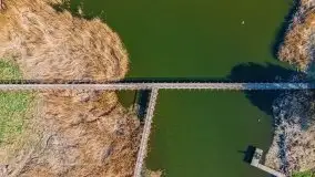 Piecki, ścieżka edukacyjna wokół stawu - zdjęcie 29