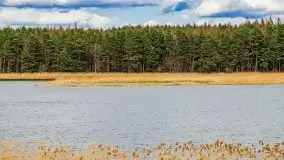 Piecki, ścieżka edukacyjna wokół stawu - zdjęcie 16