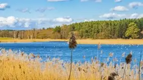 Piecki, ścieżka edukacyjna wokół stawu - zdjęcie 13