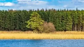 Piecki, ścieżka edukacyjna wokół stawu - zdjęcie 22