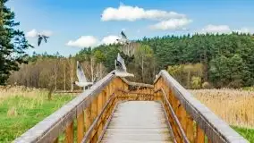 Piecki, ścieżka edukacyjna wokół stawu - zdjęcie 24