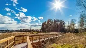 Piecki, ścieżka edukacyjna wokół stawu - zdjęcie 44