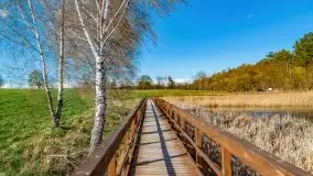 Piecki, ścieżka edukacyjna wokół stawu - zdjęcie 72