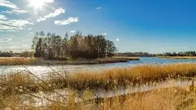 Piecki, ścieżka edukacyjna wokół stawu - zdjęcie 49