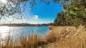 Piecki, ścieżka edukacyjna wokół stawu - zdjęcie 64