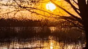 Zachód słońca nad jeziorem Wojnowo - zdjęcie 5