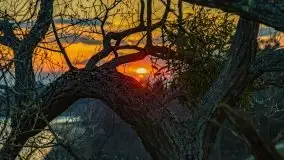 Zachód słońca nad jeziorem Wojnowo - zdjęcie 30