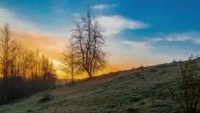 Majowy wschód słońca nad jeziorem Wojnowo - zdjęcie 21