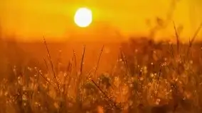 Majowy wschód słońca nad jeziorem Wojnowo - zdjęcie 11