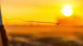 Majowy wschód słońca nad jeziorem Wojnowo - zdjęcie 32