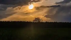 Majowy wieczór z mazurską przyrodą - zdjęcie 12