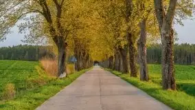 Majowy wieczór z mazurską przyrodą - zdjęcie 28