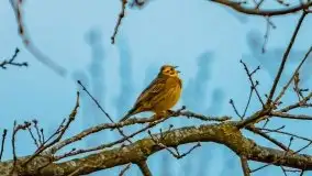 Majowy wieczór z mazurską przyrodą - zdjęcie 24