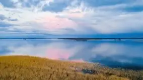 Wiosenne widoki z okolic Sztynortu, maj 2021 - zdjęcie 11