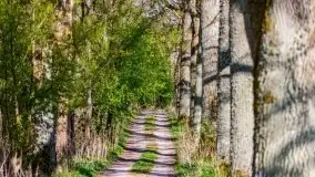 Wiosenne widoki z okolic Sztynortu, maj 2021 - zdjęcie 19