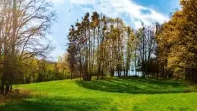 Wiosenne widoki z okolic Sztynortu, maj 2021 - zdjęcie 30