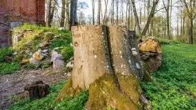 Wiosenne widoki z okolic Sztynortu, maj 2021 - zdjęcie 40