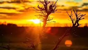 Wiosenne widoki z okolic Sztynortu, maj 2021 - zdjęcie 48