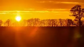 Wiosenne widoki z okolic Sztynortu, maj 2021 - zdjęcie 34