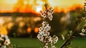 Majowy zachód słońca w porcie Trygort - zdjęcie 37