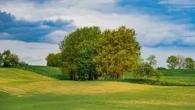 Wiosna na całego na i piękne okoliczności przyrody - zdjęcie 54