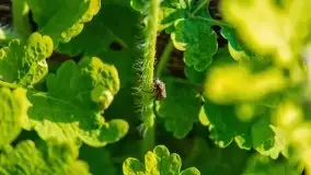 Zachód słońca nad jeziorem Jeziorowskie - zdjęcie 23