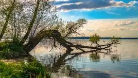 Zachód słońca nad jeziorem Jeziorowskie - zdjęcie 14