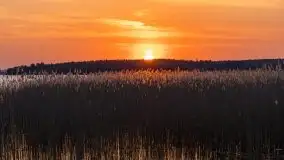 Zachód słońca w porcie Ognisty Ptak, maj 2021 - zdjęcie 13