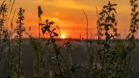 Zachód słońca w porcie Ognisty Ptak, maj 2021 - zdjęcie 6