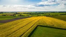 Mazurskie złote, piękne, rzepakowe pola - zdjęcie 49