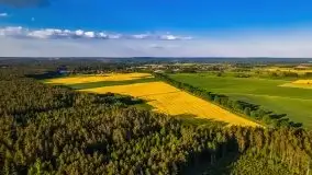 Mazurskie złote, piękne, rzepakowe pola - zdjęcie 23