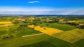 Mazurskie złote, piękne, rzepakowe pola - zdjęcie 42