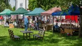 Jarmark produktów regionalnych, Sztynort 2021 - zdjęcie 8