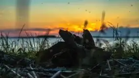 Zachód słońca nad jeziorem Dargin - zdjęcie 15