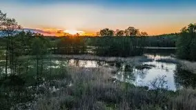 Podsumowanie wiosny 2021, zdjęcia z wielu miejsc - zdjęcie 55