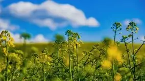 Podsumowanie wiosny 2021, zdjęcia z wielu miejsc - zdjęcie 71