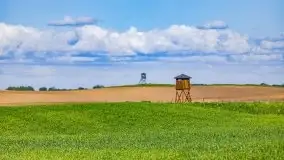 Podsumowanie wiosny 2021, zdjęcia z wielu miejsc - zdjęcie 122