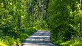 Podsumowanie wiosny 2021, zdjęcia z wielu miejsc - zdjęcie 123