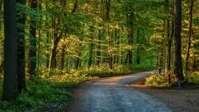 Podsumowanie wiosny 2021, zdjęcia z wielu miejsc - zdjęcie 12