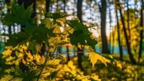 Podsumowanie wiosny 2021, zdjęcia z wielu miejsc - zdjęcie 21