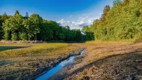 Podsumowanie wiosny 2021, zdjęcia z wielu miejsc - zdjęcie 133