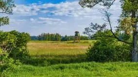 Podsumowanie wiosny 2021, zdjęcia z wielu miejsc - zdjęcie 126