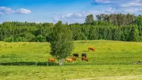 Podsumowanie wiosny 2021, zdjęcia z wielu miejsc - zdjęcie 31