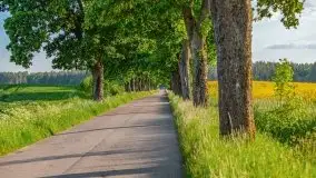 Podsumowanie wiosny 2021, zdjęcia z wielu miejsc - zdjęcie 118