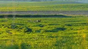 Podsumowanie wiosny 2021, zdjęcia z wielu miejsc - zdjęcie 111